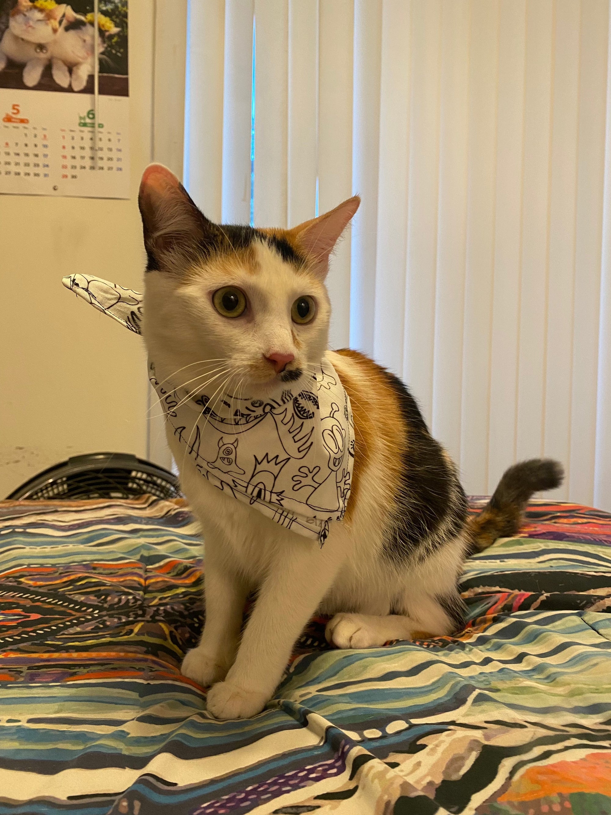 Doodleverse Doodleverse Pet Bandana