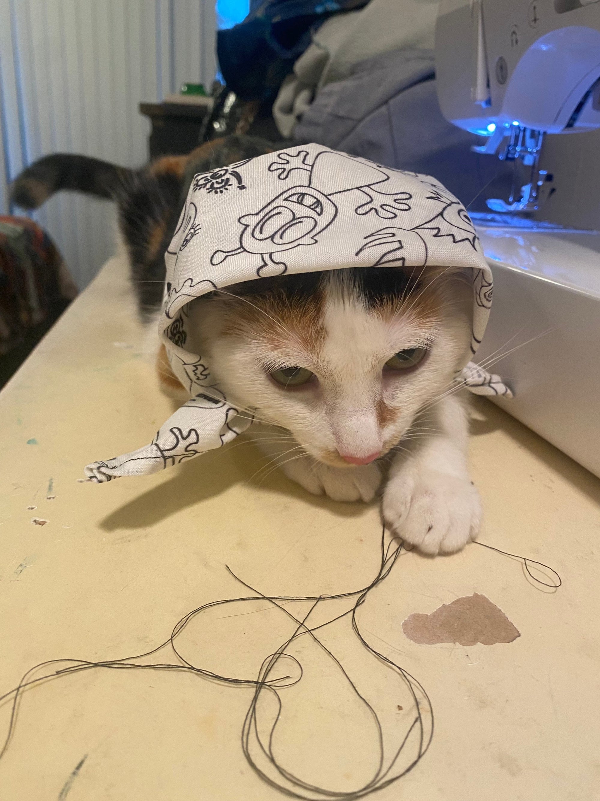 Doodleverse Doodleverse Pet Bandana
