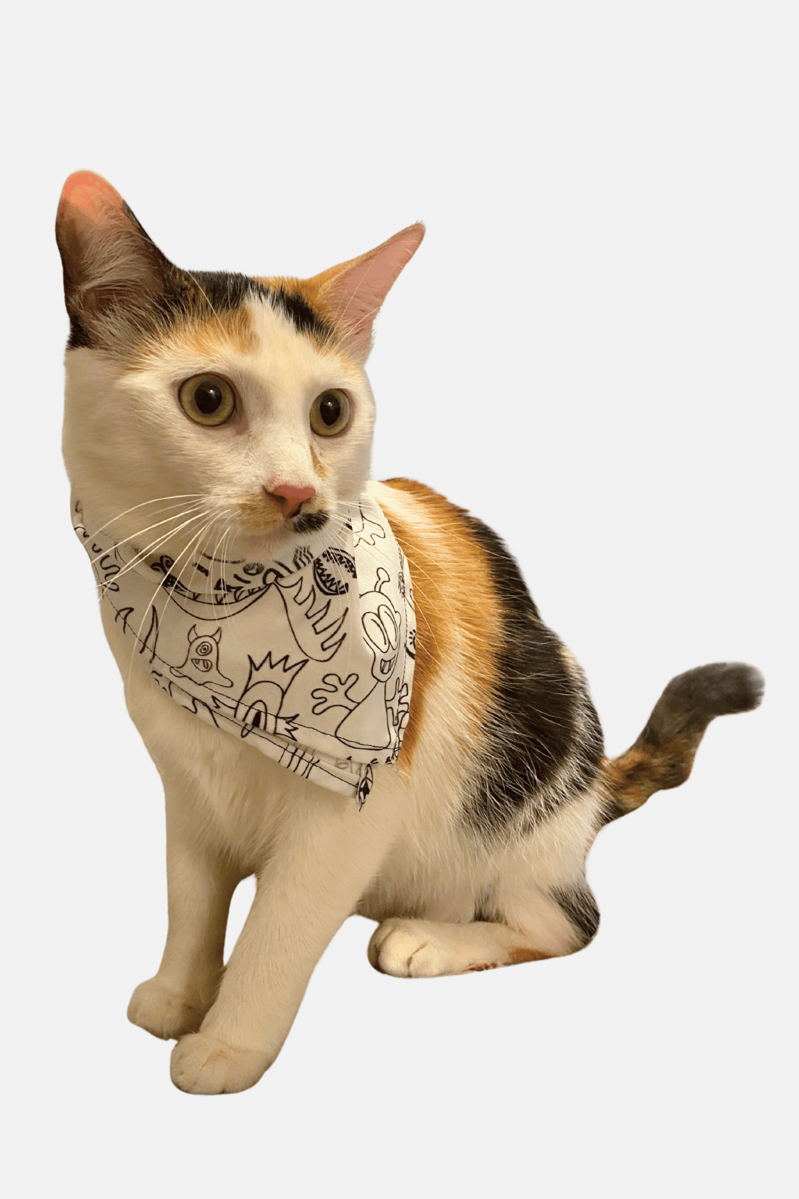 Doodleverse Doodleverse Pet Bandana